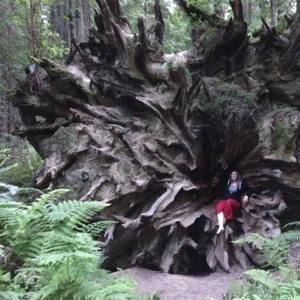 Meet your Posher, Casey